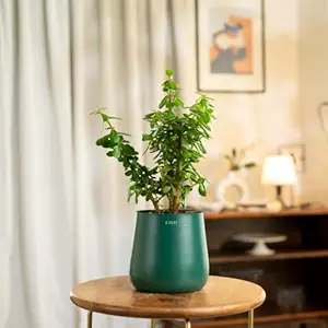 5 Best Gift Ideas for Best Friends