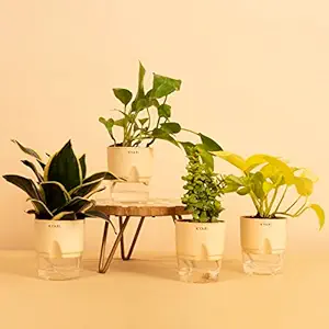 5 Best Gift Ideas for Best Friends